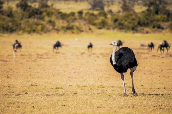 BK8I3836 copy - GALLERY.jpg